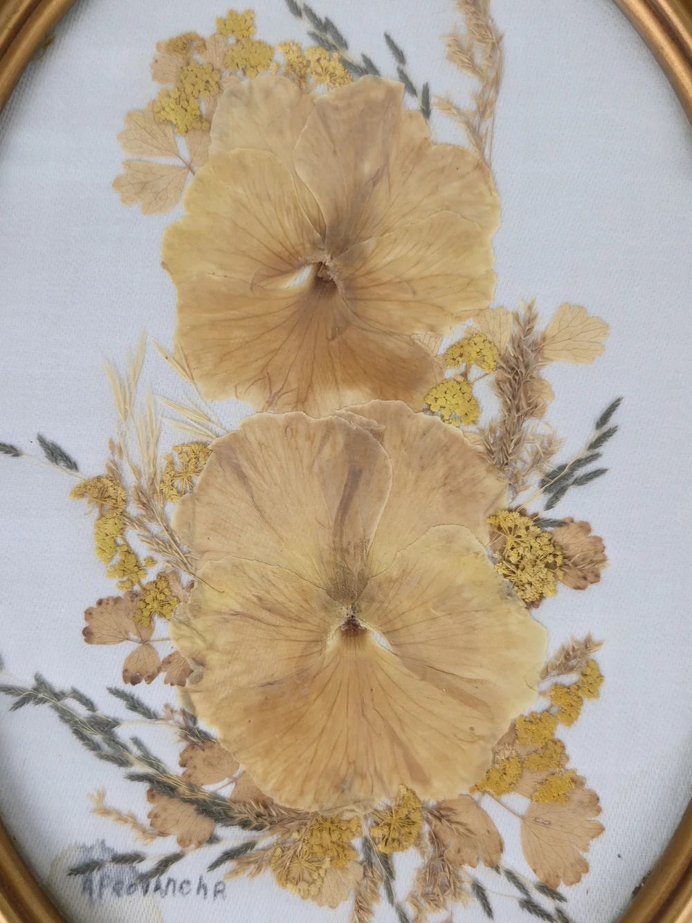 Vintage Oval Gold Framed Pressed Flower Art - Signed A. Provancha